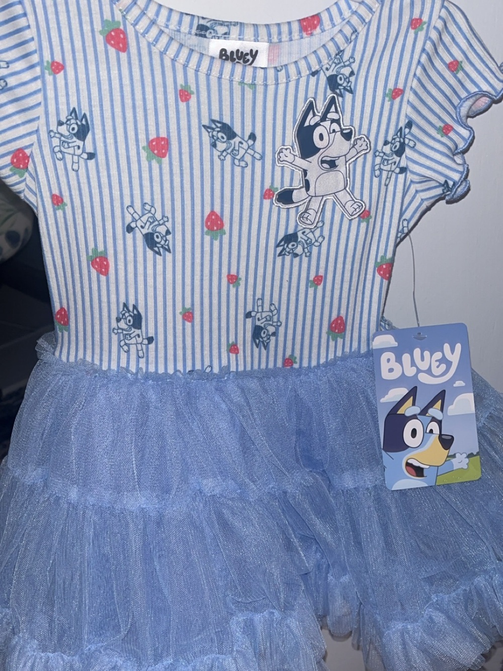 Disney Bluey Blue and White Striped Tulle Dress with Strawberry Print